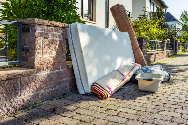 Best Shed Removal  in Holly Lake Ranch, TX